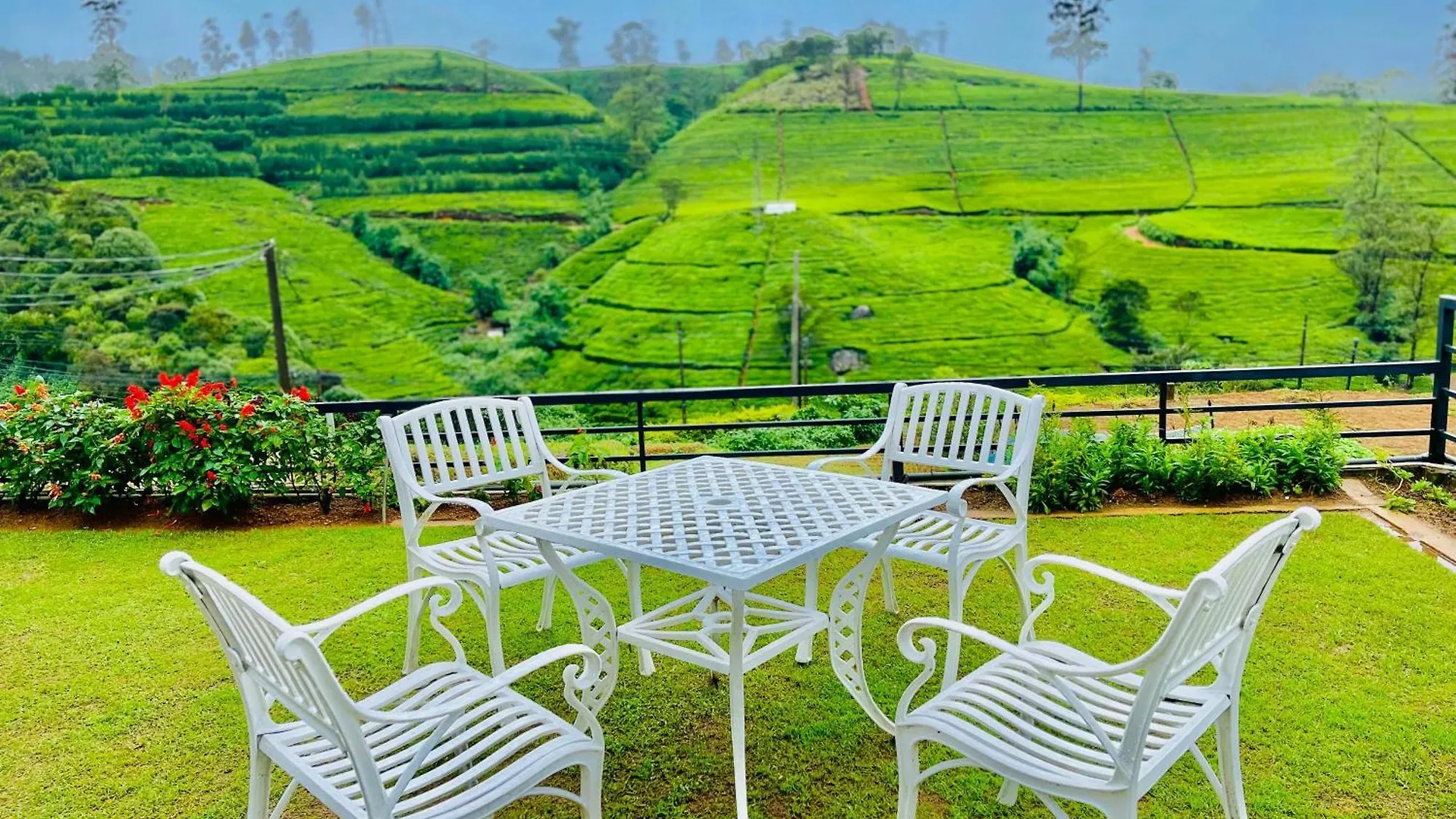 Friendly Hills Hotel نوفارا إيلِيا